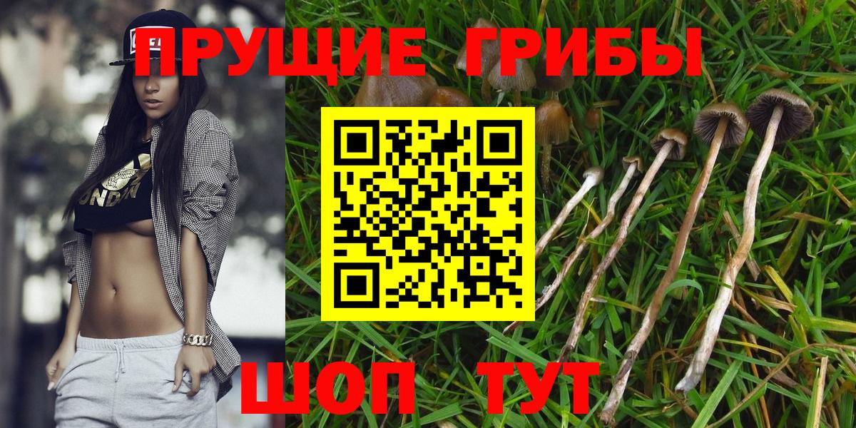 Псилоцибиновые грибы мицелий  Вход с VPN  Псилоцибиновые грибы Psilocybe  Арсеньев 