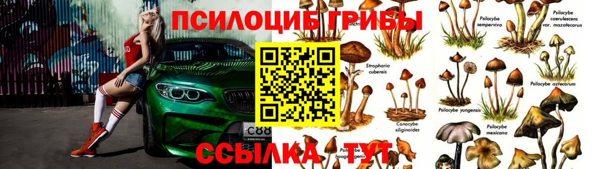 Галлюциногенные грибы GOLDEN TEACHER Арсеньев
